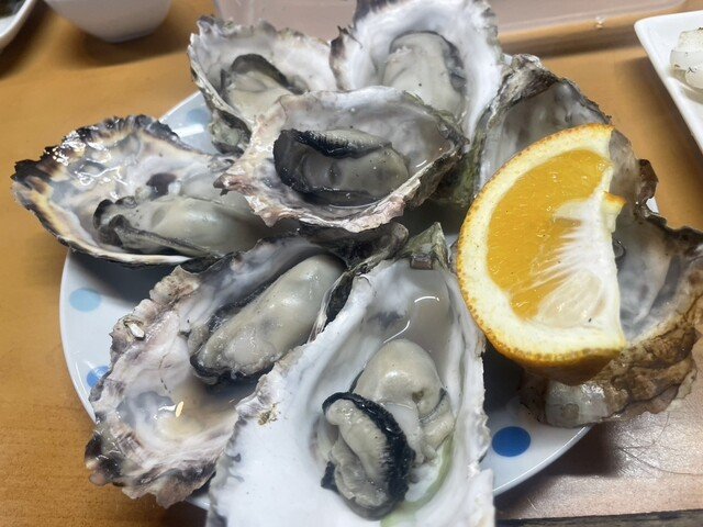 🌊 하도 곶(하도미사키) 이미지 1